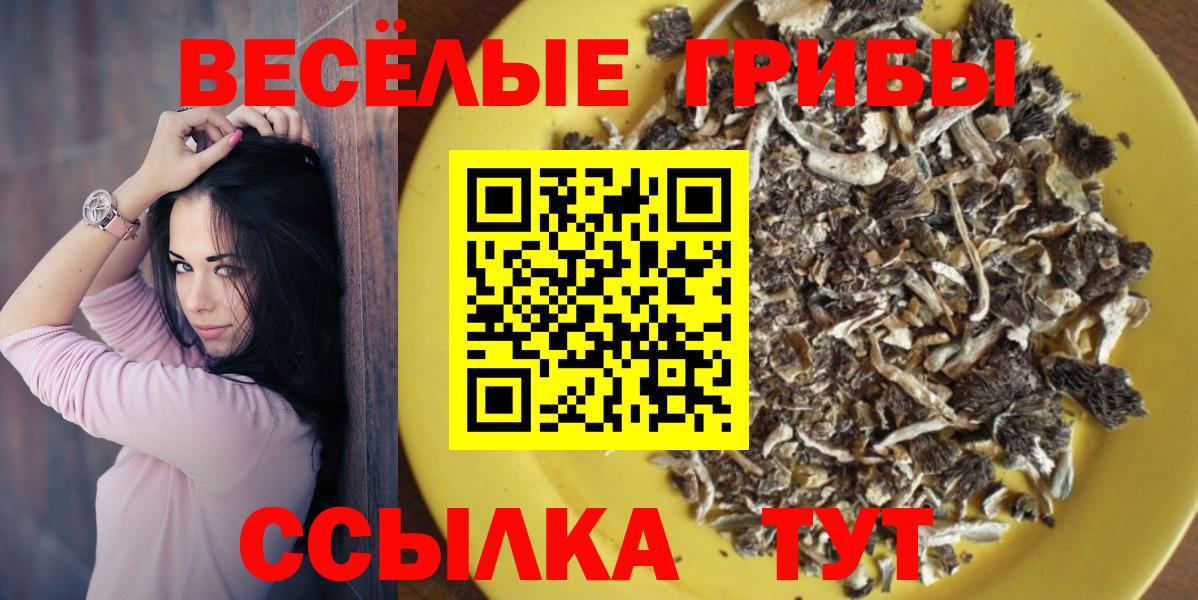 Псилоцибиновые грибы Psilocybe Протвино