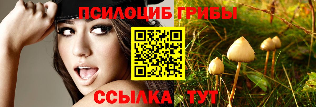 Протвино  Псилоцибиновые грибы GOLDEN TEACHER  Псилоцибиновые грибы Magic Shrooms  Вход с VPN 